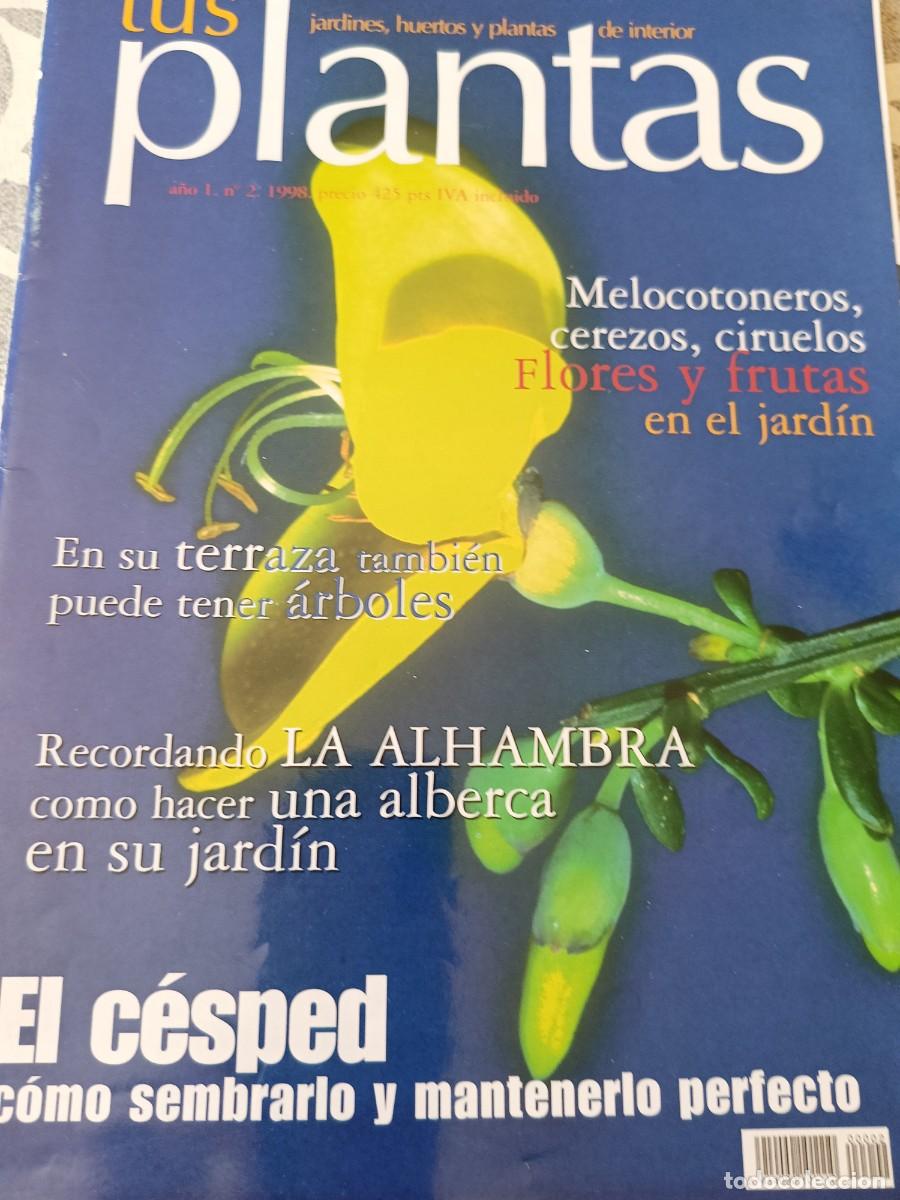 Coleccionismo de Revistas y Peri&oacute;dicos: TUS PLANTAS. El c&eacute;sped como sembrar