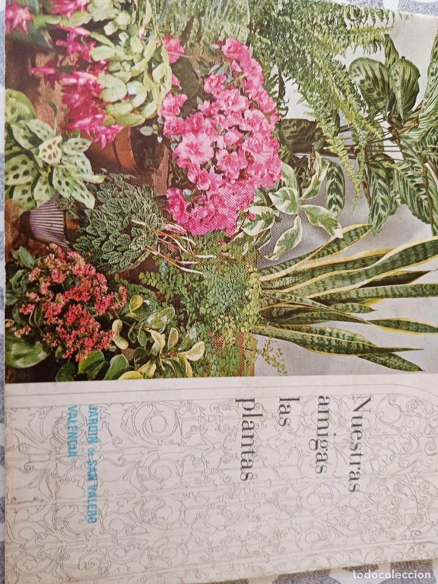 Coleccionismo de Revistas y Peri&oacute;dicos: Nuestras amigas las plantas. Jard&iacute;n de San Valero