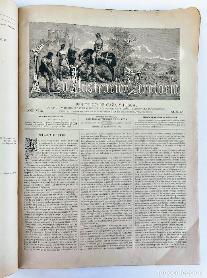 Coleccionismo de Revistas y Peri&oacute;dicos: La Ilustraci&oacute;n Venatoria. A&ntilde;o 1885 completo. Caza pesca y recreos campestres.