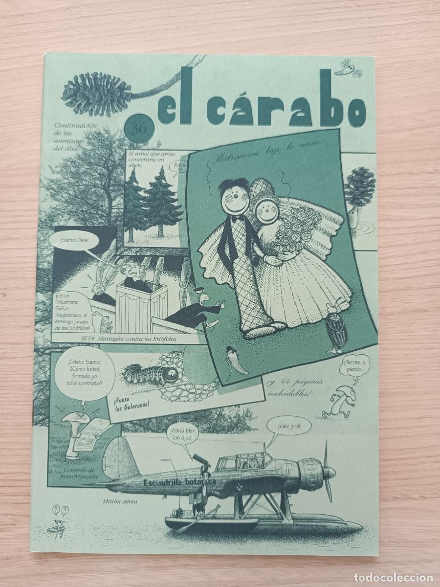 Coleccionismo de Revistas y Peri&oacute;dicos: El C&aacute;rabo 36. El aliso 2&ordf; parte