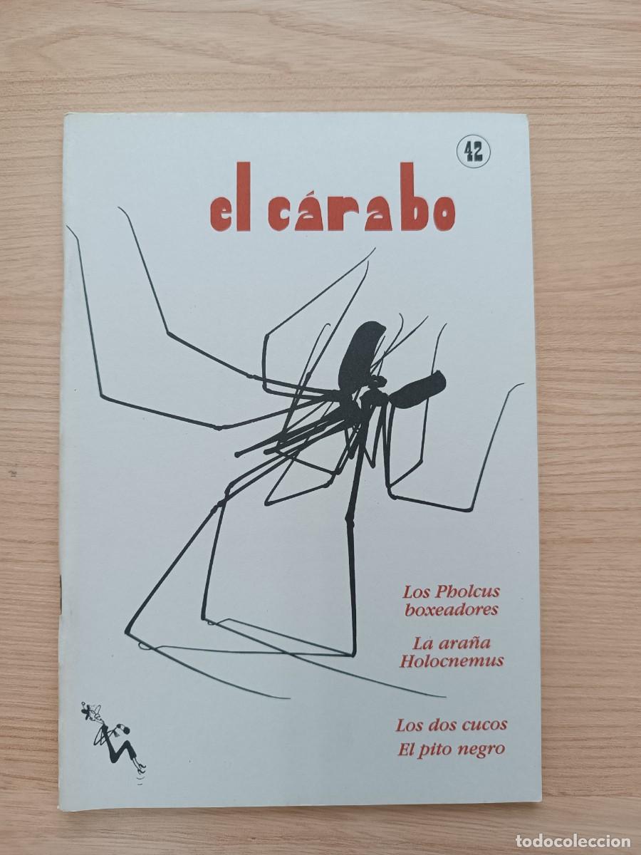Coleccionismo de Revistas y Peri&oacute;dicos: El C&aacute;rabo 42. Los Pholcus boxeadores