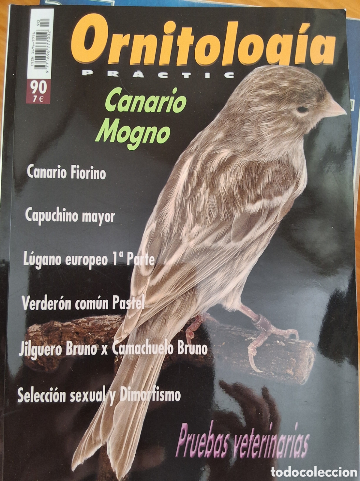 Coleccionismo de Revistas y Peri&oacute;dicos: Ornitologia pr&aacute;ctica revista n&uacute;mero 90