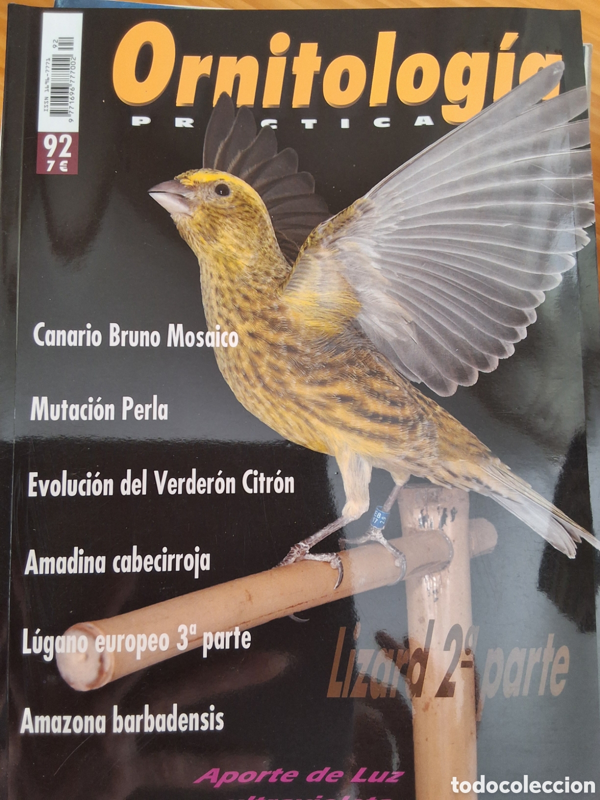 Coleccionismo de Revistas y Peri&oacute;dicos: Ornitologia pr&aacute;ctica revista n&uacute;mero 92