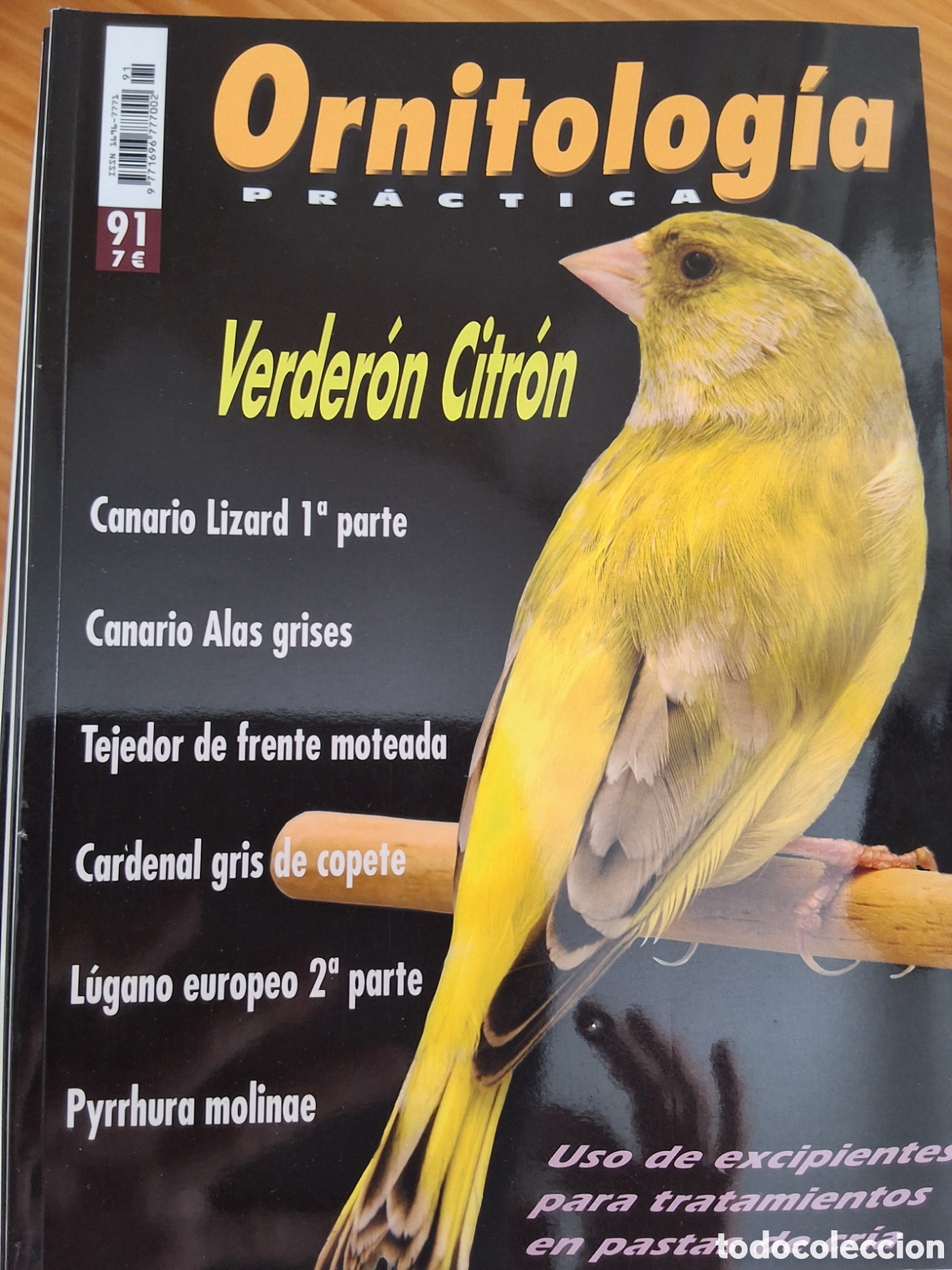 Coleccionismo de Revistas y Peri&oacute;dicos: Ornitologia pr&aacute;ctica revista n&uacute;mero 91