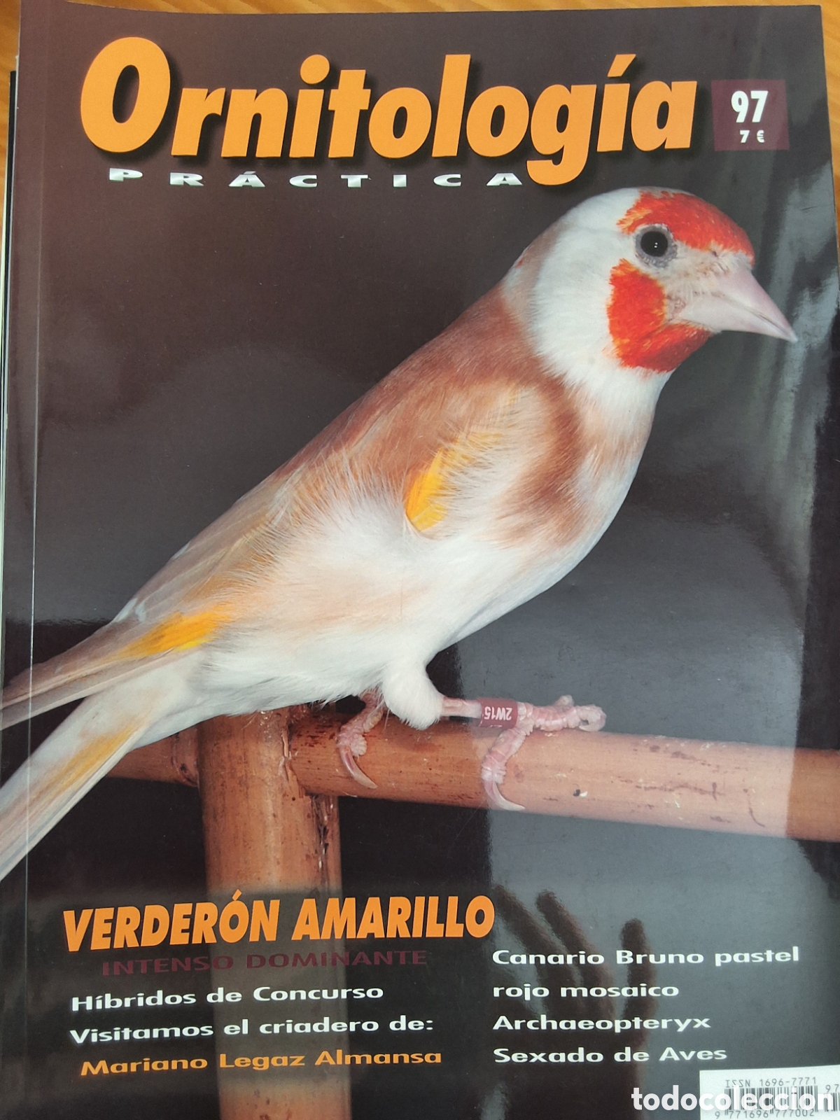 Coleccionismo de Revistas y Peri&oacute;dicos: Ornitologia pr&aacute;ctica revista n&uacute;mero 97