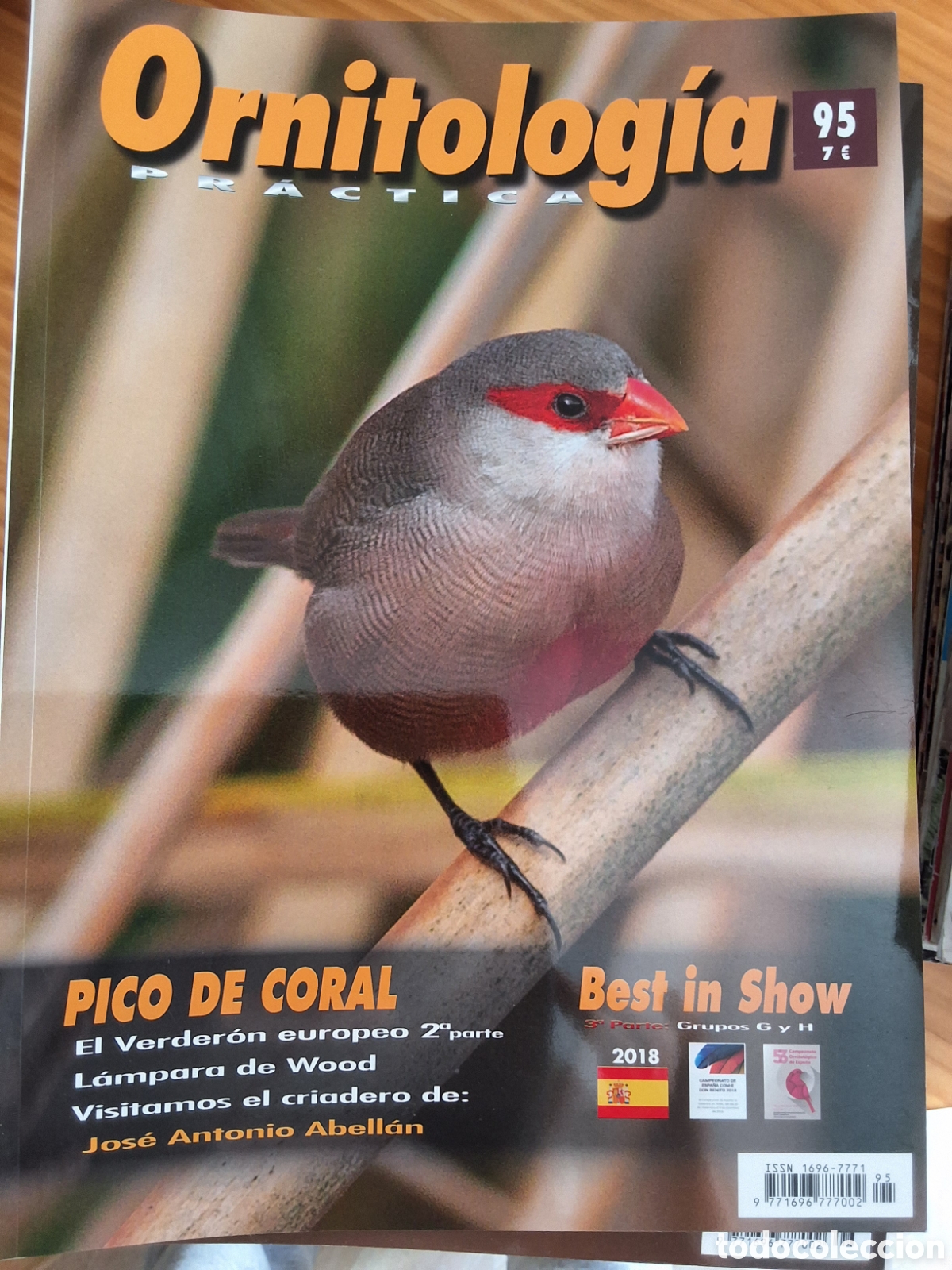 Coleccionismo de Revistas y Peri&oacute;dicos: Ornitologia pr&aacute;ctica revista n&uacute;mero 95