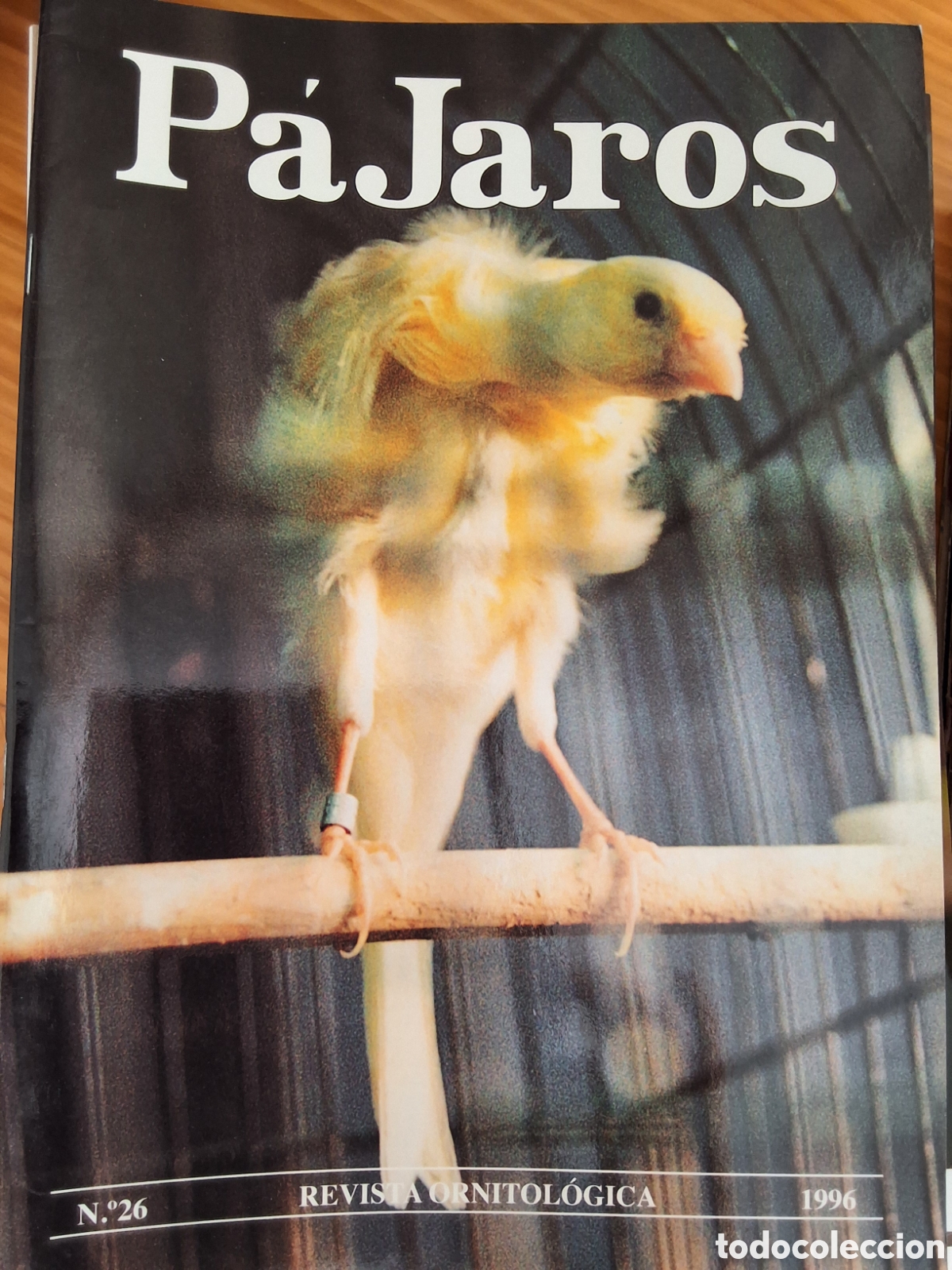 Coleccionismo de Revistas y Peri&oacute;dicos: P&aacute;jaros revista ornitologica n&uacute;mero 26 a&ntilde;o 1996