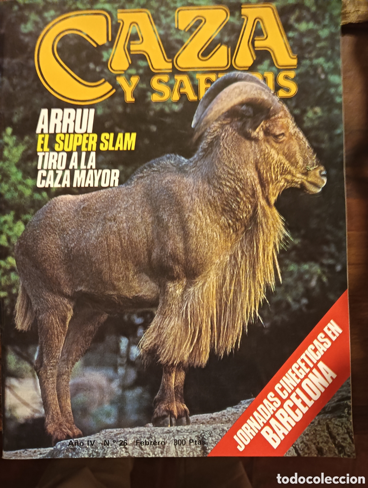 Coleccionismo de Revistas y Peri&oacute;dicos: Revista caza y safaris a&ntilde;o cuatro n&uacute;mero veintis&eacute;is febrero