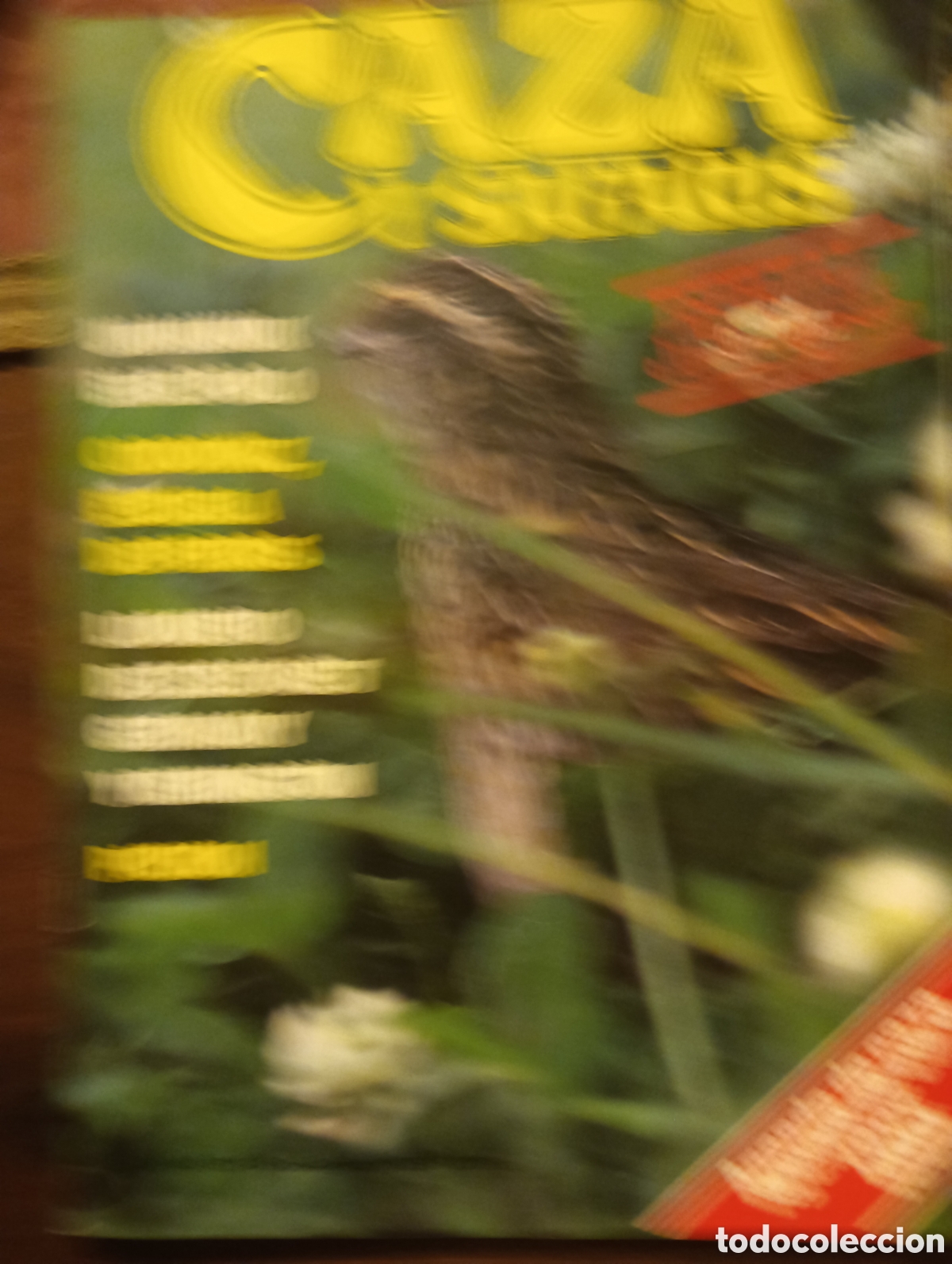 Coleccionismo de Revistas y Peri&oacute;dicos: REVISTA CAZA Y SAFARIS N&ordm; 31 JULIO AGOSTO 1985