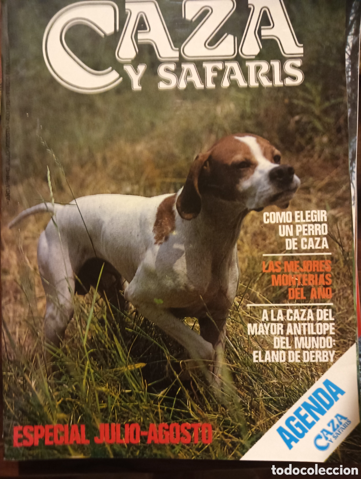Coleccionismo de Revistas y Peri&oacute;dicos: REVISTA CAZA Y SAFARIS N&ordm; 42 JULIO DE 1986