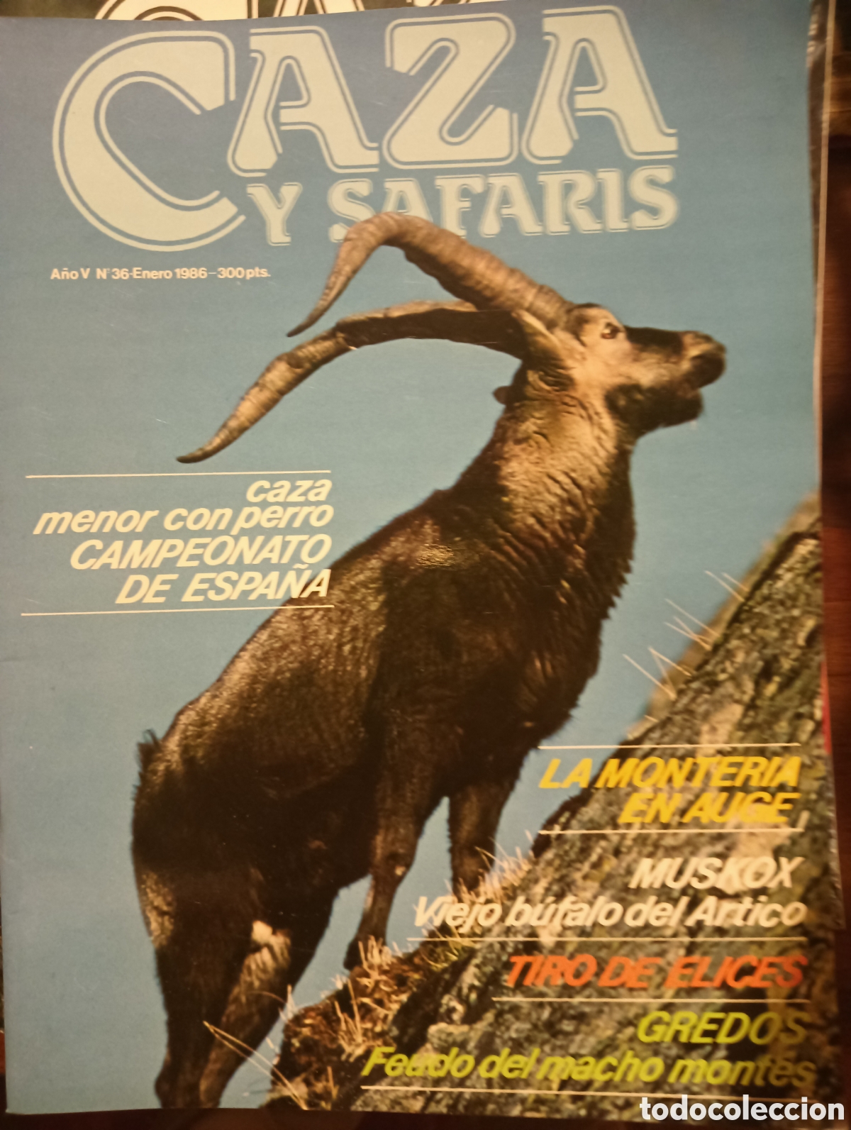 Coleccionismo de Revistas y Peri&oacute;dicos: REVISTA CAZA Y SAFARIS N&ordm; 36 ENERO DE 1986