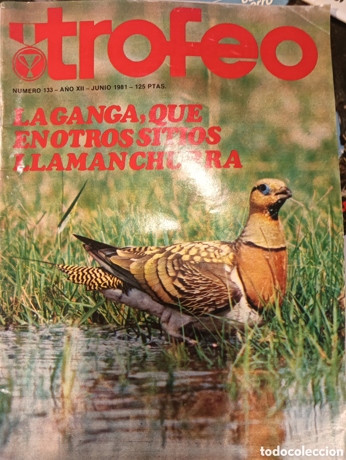 Sammeln von Zeitschriften und Zeitungen: REVISTA TROFEO, N&ordm; 133 JUNIO 1985 CAZA