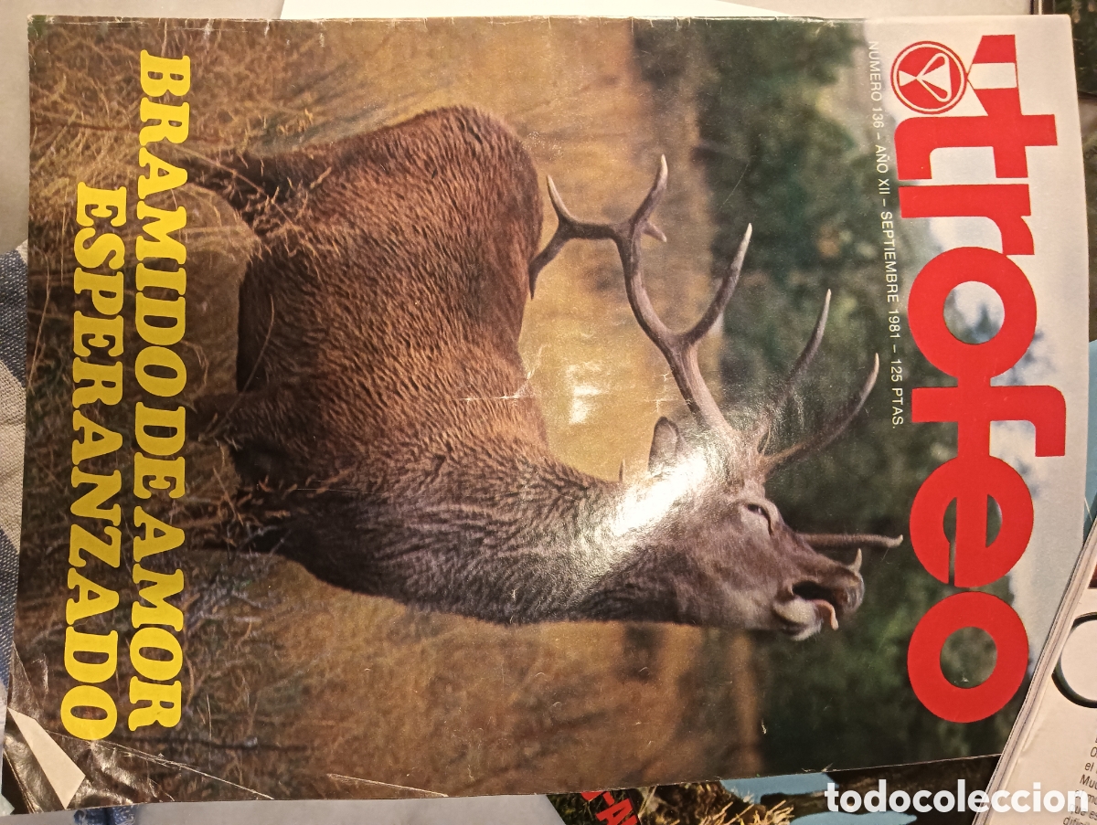 Sammeln von Zeitschriften und Zeitungen: REVISTA TROFEO N&ordm; 136 SEPTIEMBRE 1981 CAZA