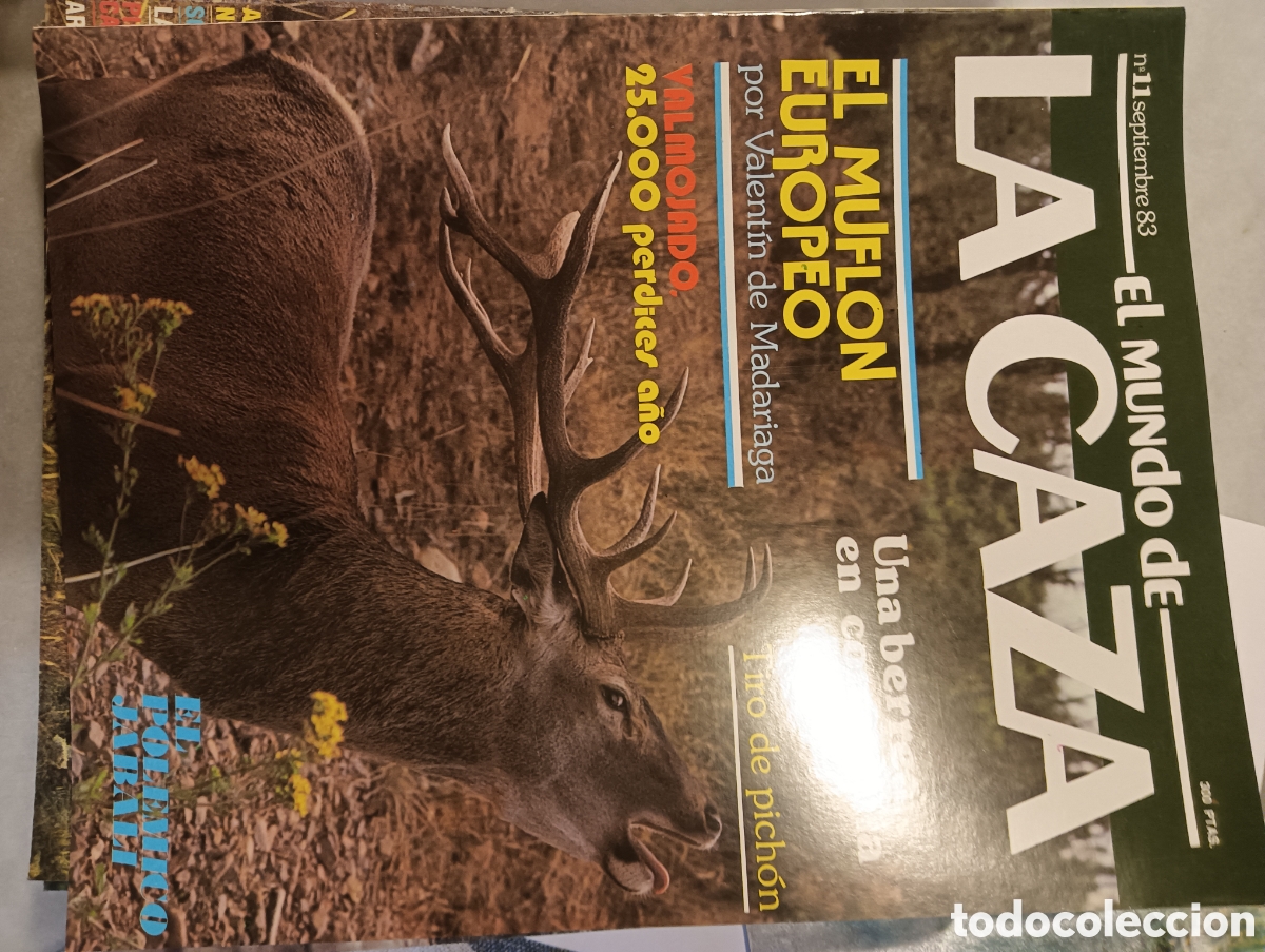Coleccionismo de Revistas y Peri&oacute;dicos: EL MUNDO DE LA CAZA SEPTIEMBRE 1983