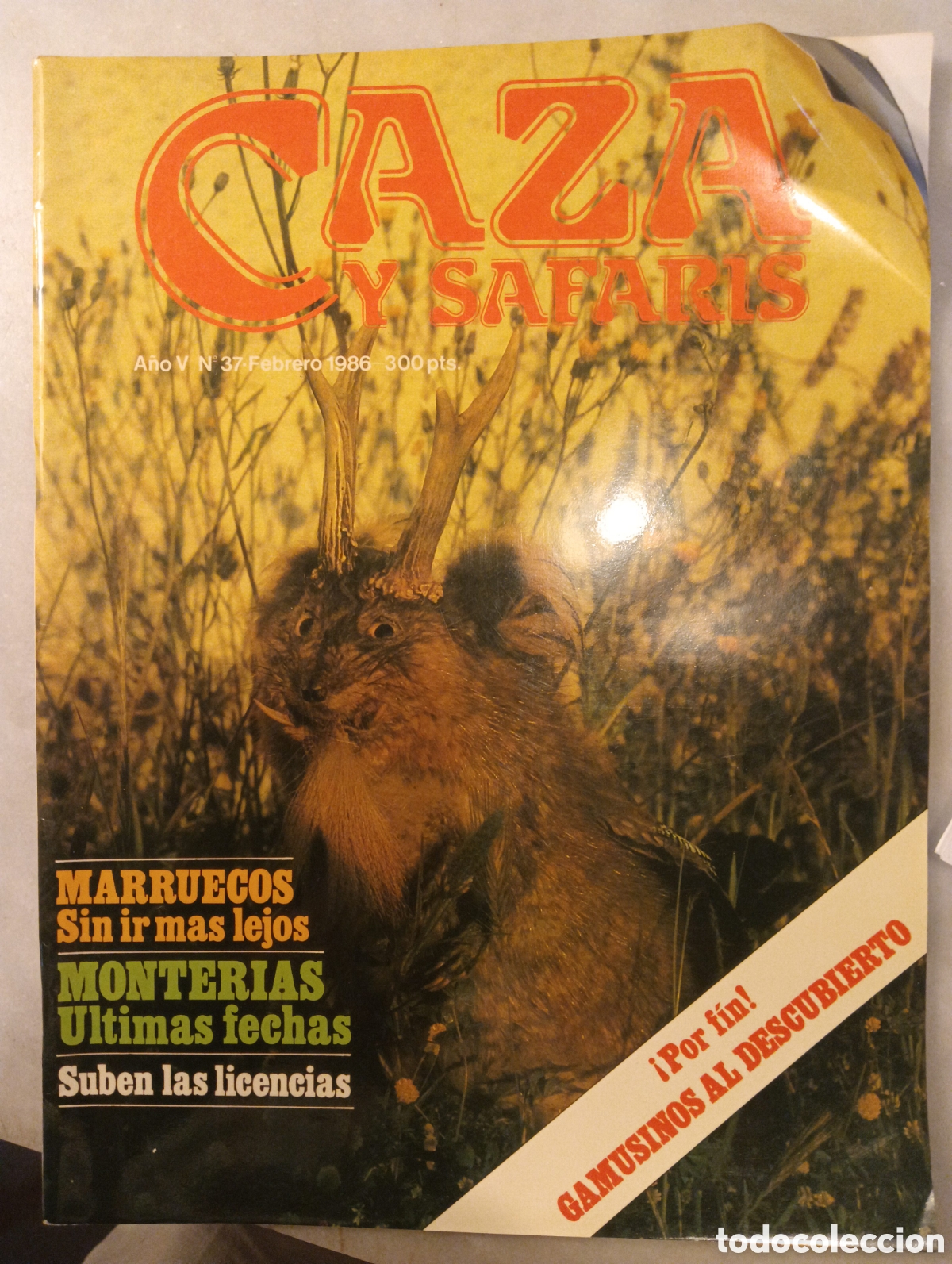 Coleccionismo de Revistas y Peri&oacute;dicos: Caza y safaris febrero de 1986