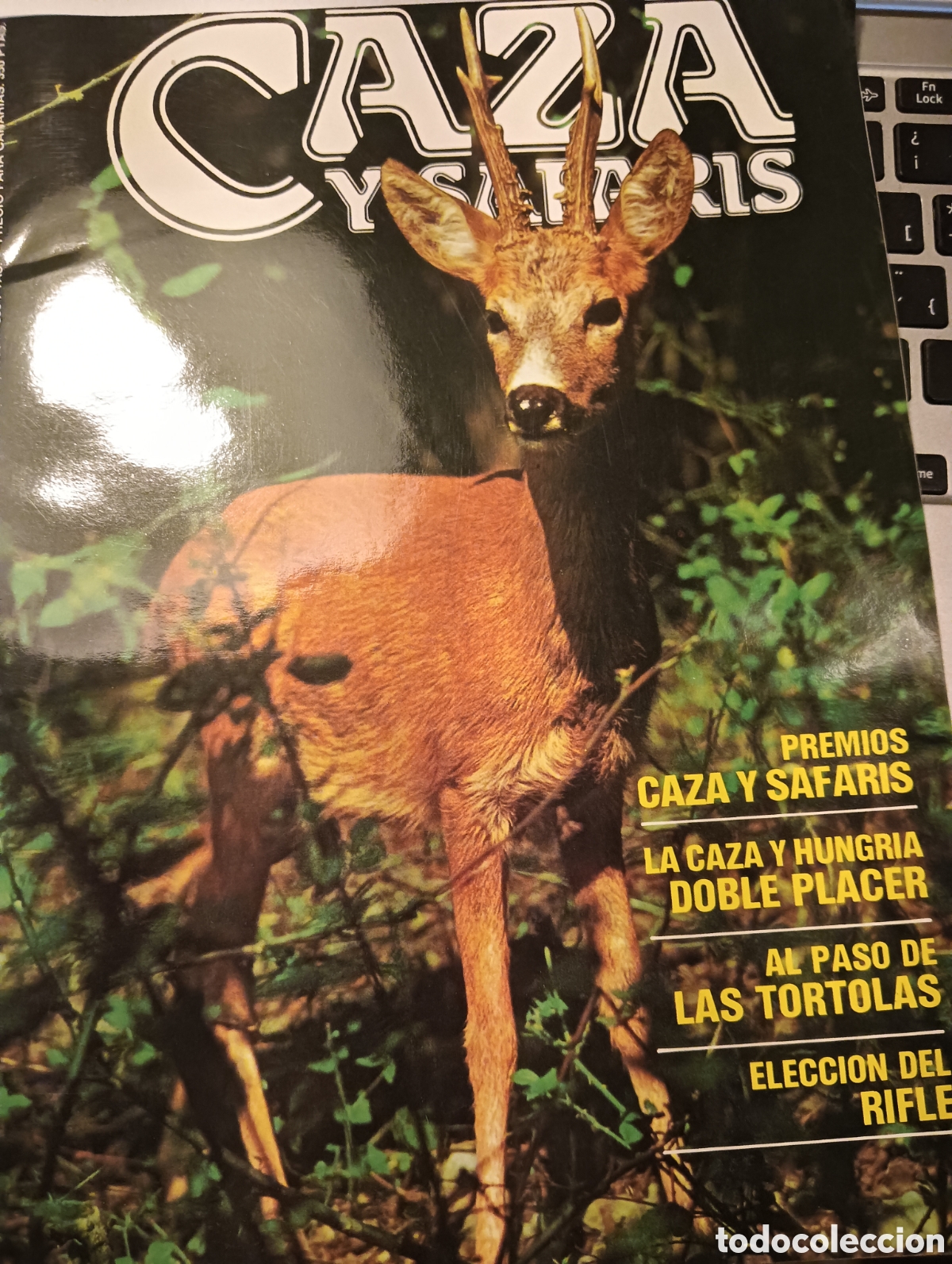 Collectionnisme de Revues et Journaux: CAZA Y SAFARIS SEPTIEMBRE DE 1986
