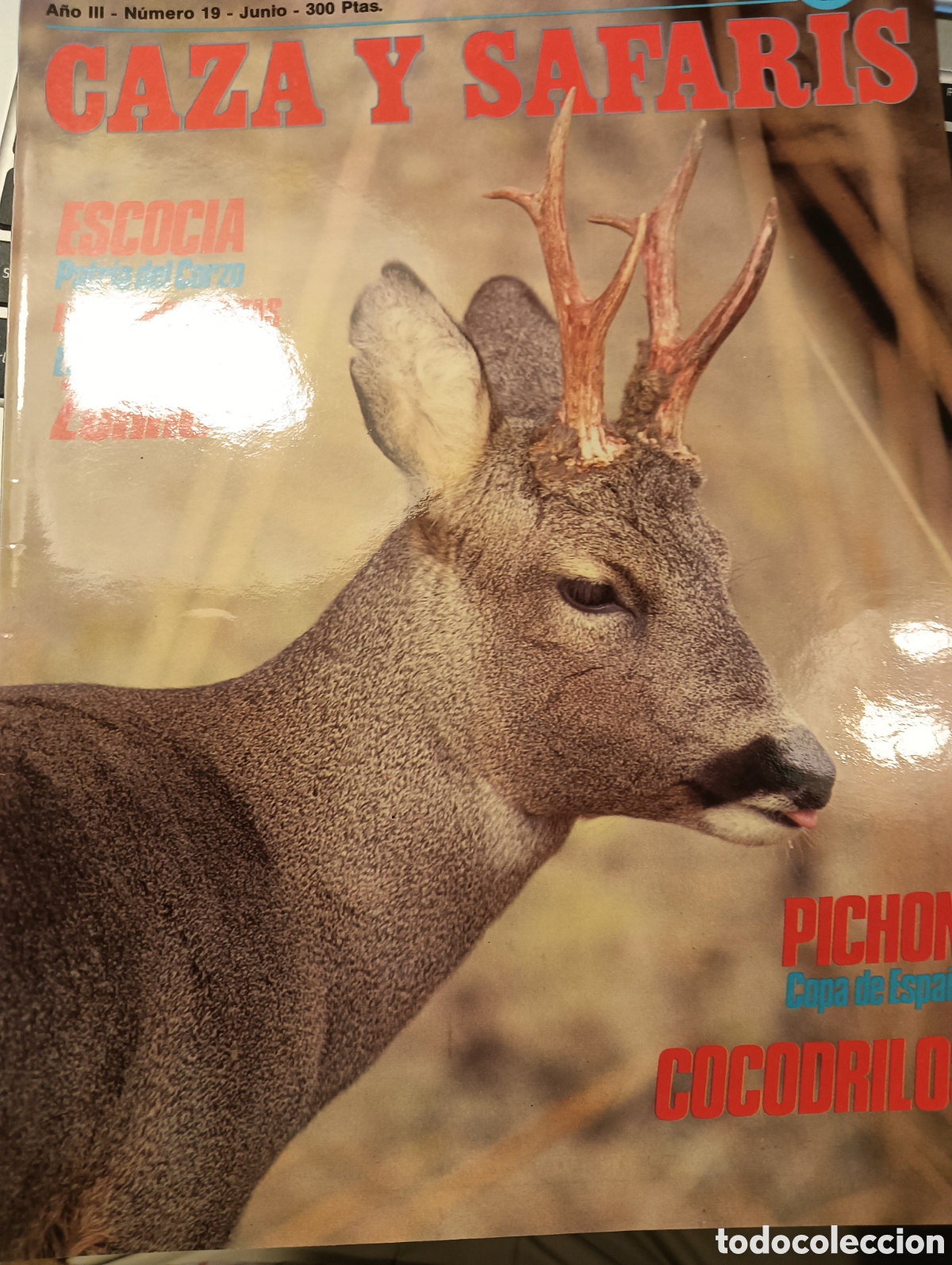 Collectionnisme de Revues et Journaux: CAZA Y SAFARIS, N&ordm; 19 JUNIO