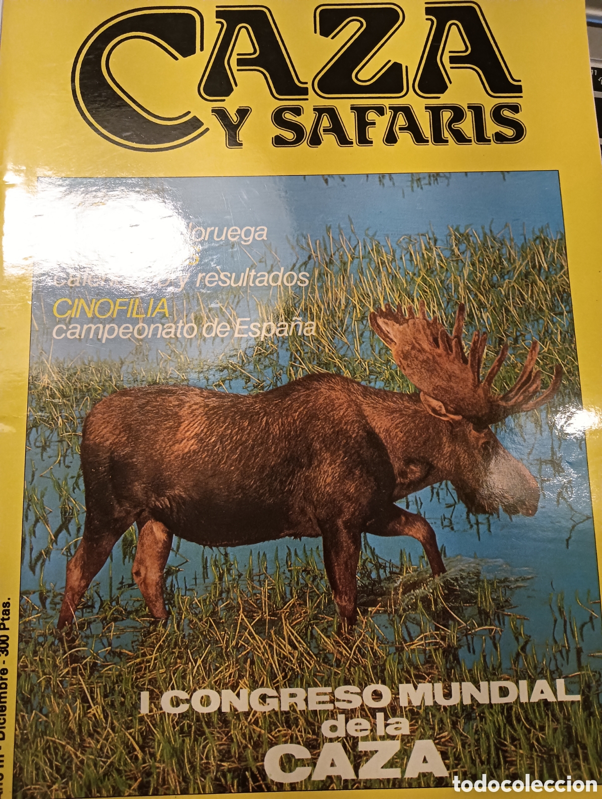 Collectionnisme de Revues et Journaux: CAZA Y SAFARIS, N&ordm; 24 DICIEMBRE