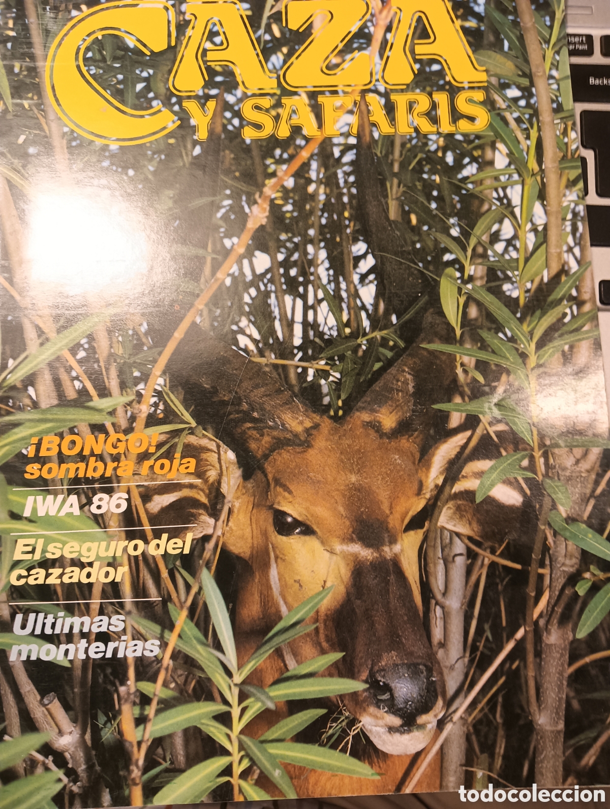 Collectionnisme de Revues et Journaux: CAZA Y SAFARIS ABRIL 1986