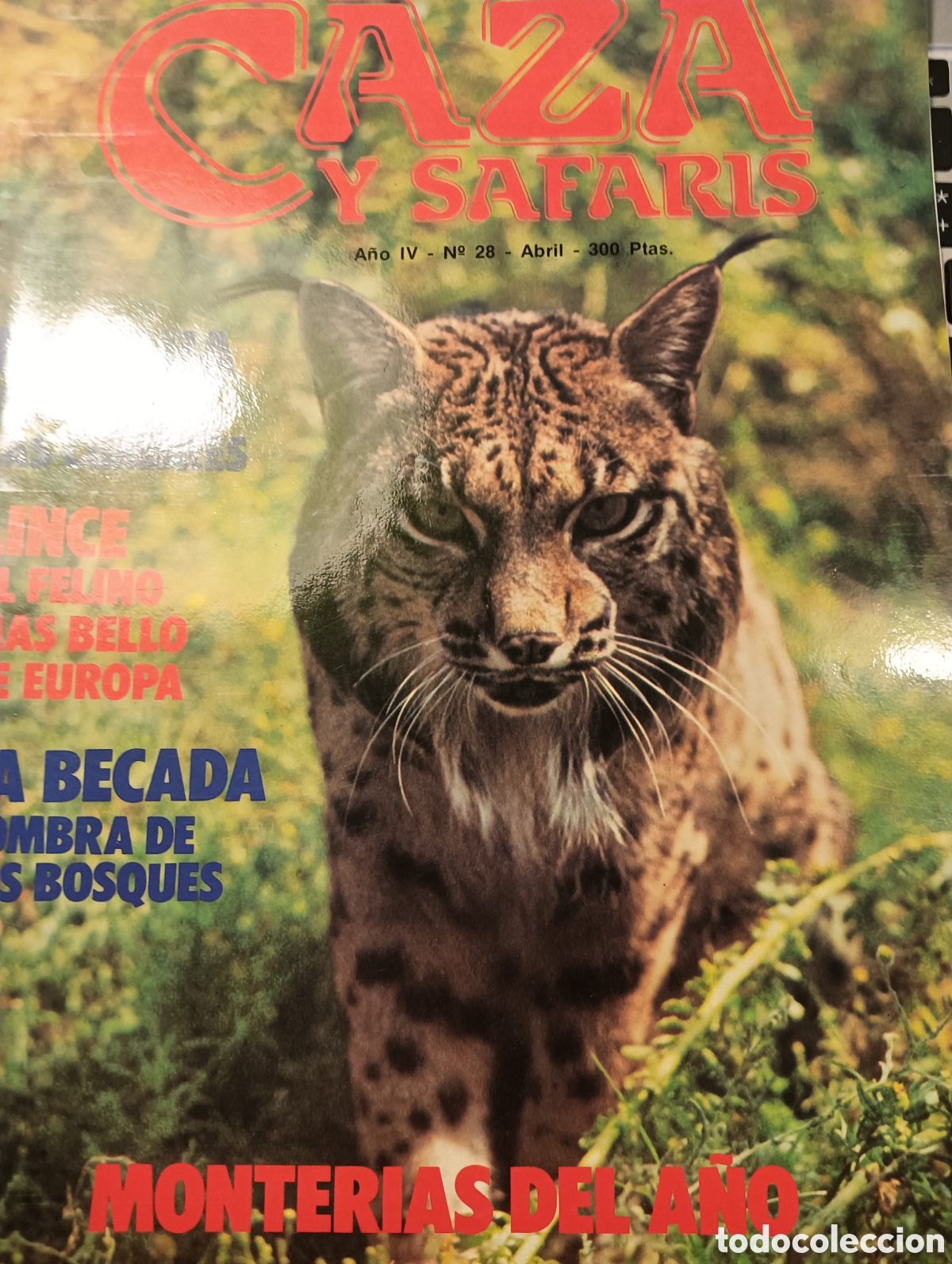 Collectionnisme de Revues et Journaux: CAZA Y SAFARIS A&Ntilde;O IV N&ordm; 28