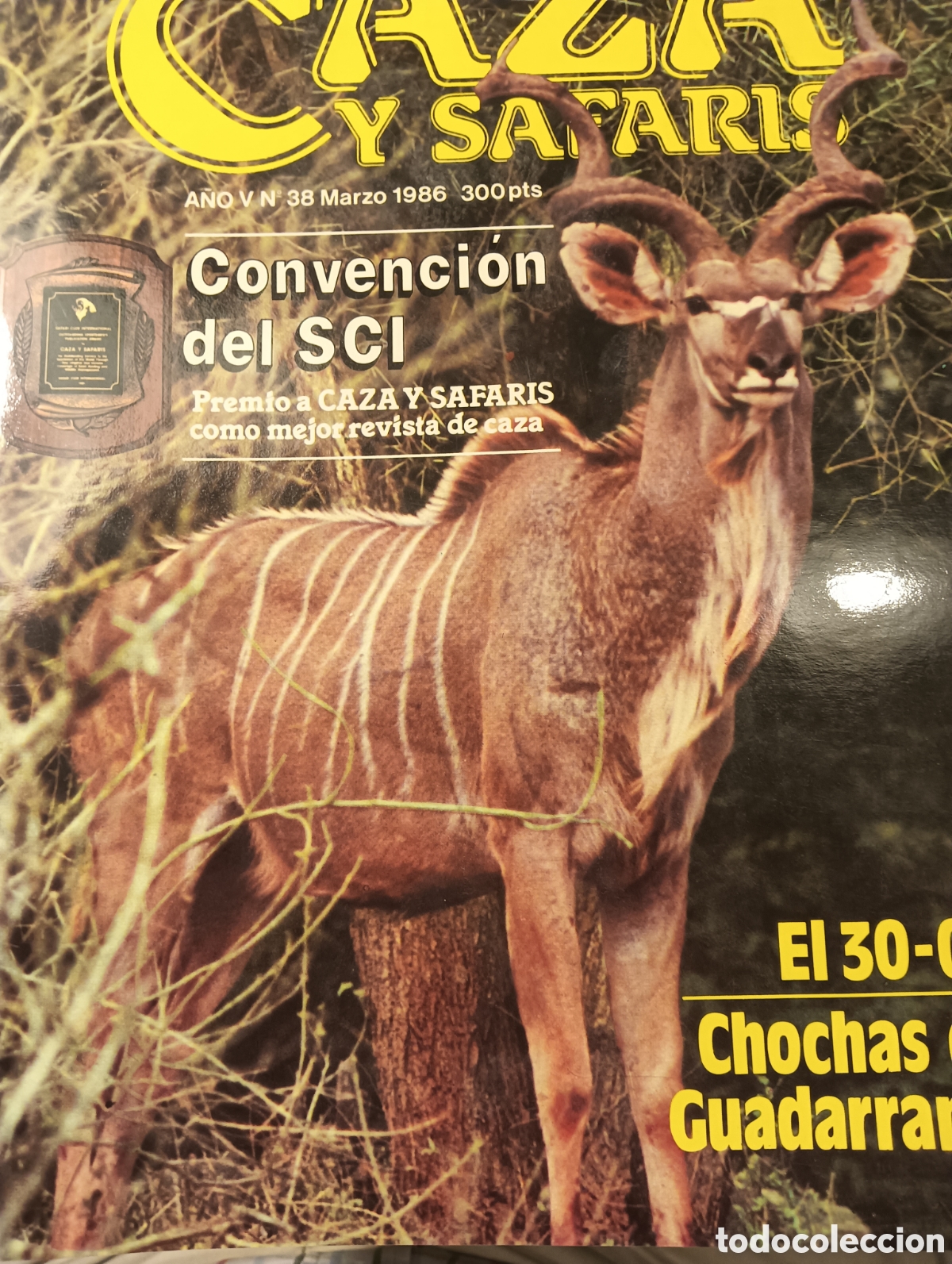 Collectionnisme de Revues et Journaux: CAZA Y SAFARIS N&ordm; 38 MARZO 1986