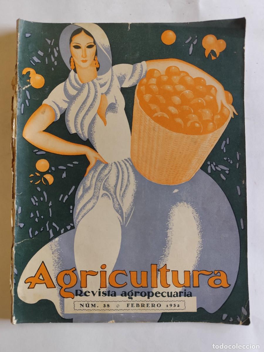 Sammeln von Zeitschriften und Zeitungen: AGRICULTURA, REVISTA AGROPECUARIA. NUM. 38 A&Ntilde;O 1932 PLAGAS, CULTIVO LUPULO, INSTALACION COLMENARES,