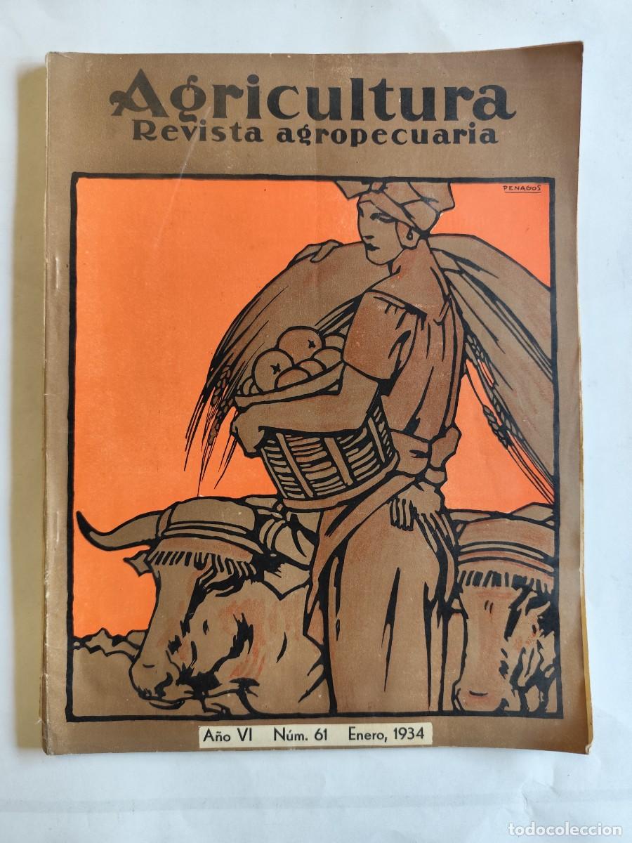 Coleccionismo de Revistas y Peri&oacute;dicos: AGRICULTURA, REVISTA AGROPECUARIA N&ordm; 61 A&Ntilde;O 1934 TABACO USA, CULTIVO CLAVEL Y QUINO, HIGIENE LECHERA