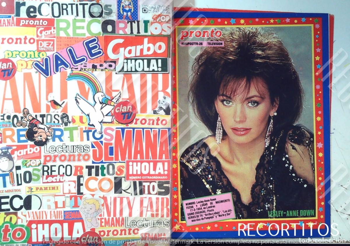 Sammeln von Zeitschriften und Zeitungen: LESLEY ANNE DOWN NORTE Y SUR LESLEI LESLY ANN POSTER