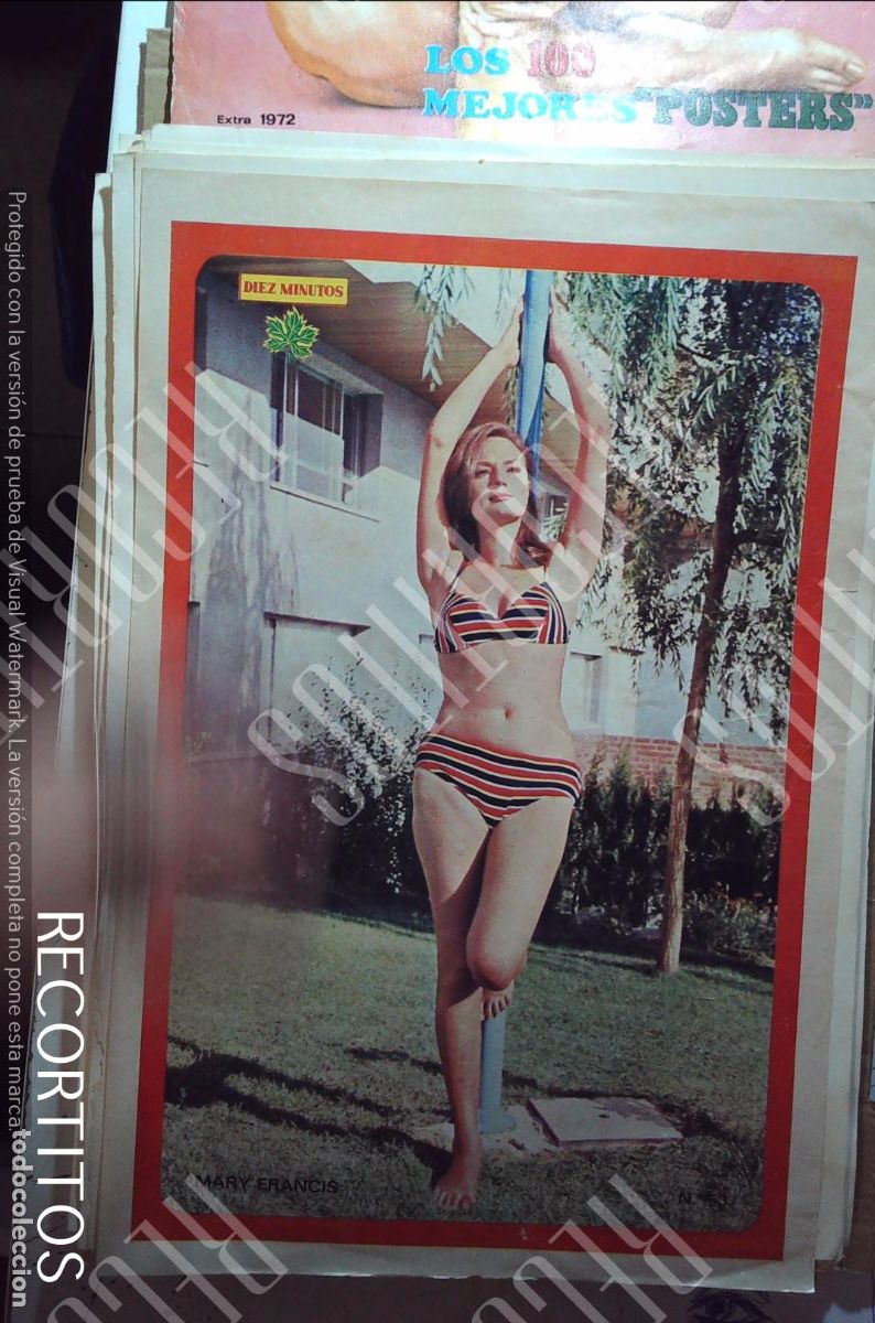 Coleccionismo de Revistas y Peri&oacute;dicos: poster diez minutos 1972 MARY FRANCIS PACA GABALDON