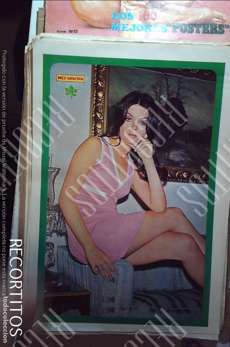 Coleccionismo de Revistas y Peri&oacute;dicos: poster diez minutos 1972 PATTY SHEPPARD SHEPARD