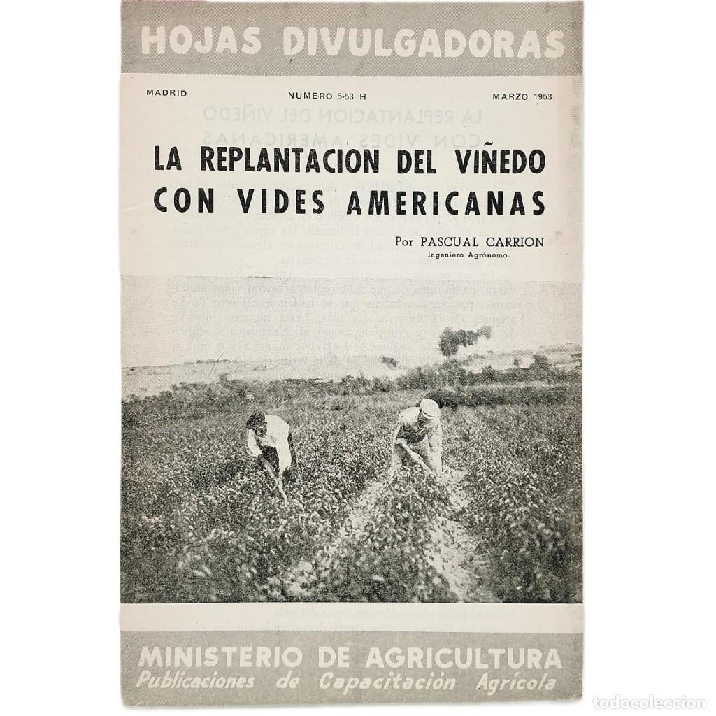Coleccionismo de Revistas y Peri&oacute;dicos: LA REPLANTACI&Oacute;N DEL VI&Ntilde;EDO CON VIDES AMERICANAS. Carri&oacute;n, Pascual
