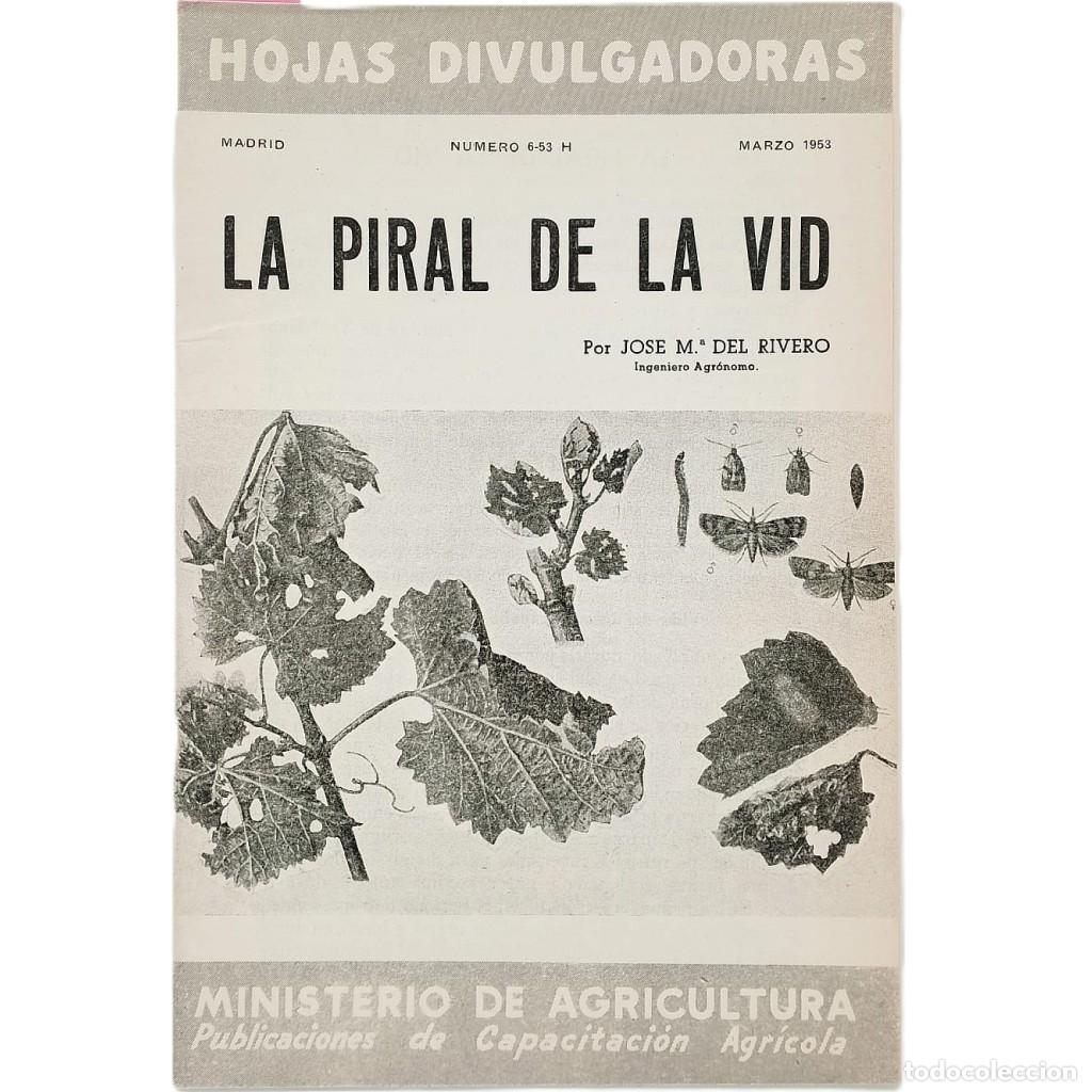 Coleccionismo de Revistas y Peri&oacute;dicos: LA PIRAL DE LA VID. Rivero, Jos&eacute; M&ordf; del