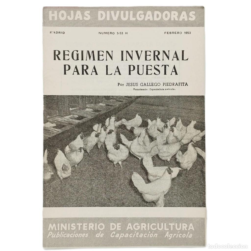 Collezionismo di Riviste e Giornali: R&Eacute;GIMEN INVERNAL PARA LA PUESTA. Gallego Piedrafita, Jes&uacute;s