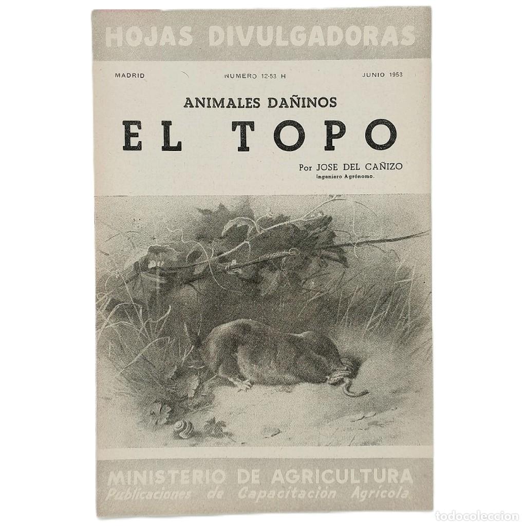 Coleccionismo de Revistas y Peri&oacute;dicos: ANIMALES DA&Ntilde;INOS. EL TOPO. Ca&ntilde;izo, Jos&eacute; del