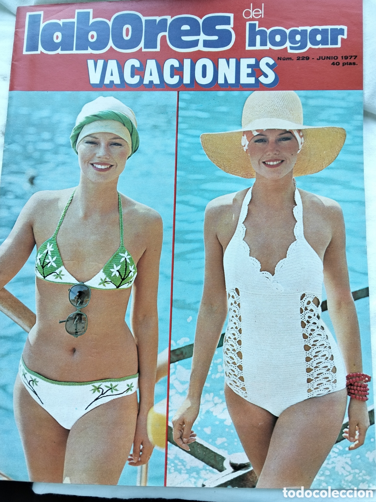 Sammeln von Zeitschriften und Zeitungen: REVISTA LABORES DEL HOGAR N.229 JUNIO 1977