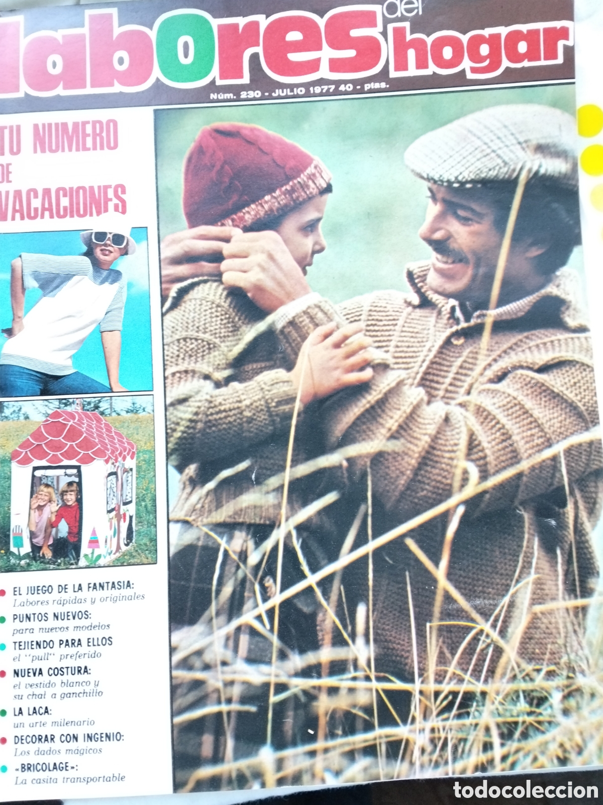 Sammeln von Zeitschriften und Zeitungen: REVISTA LABORES DEL HOGAR N.230 JULIO 1977