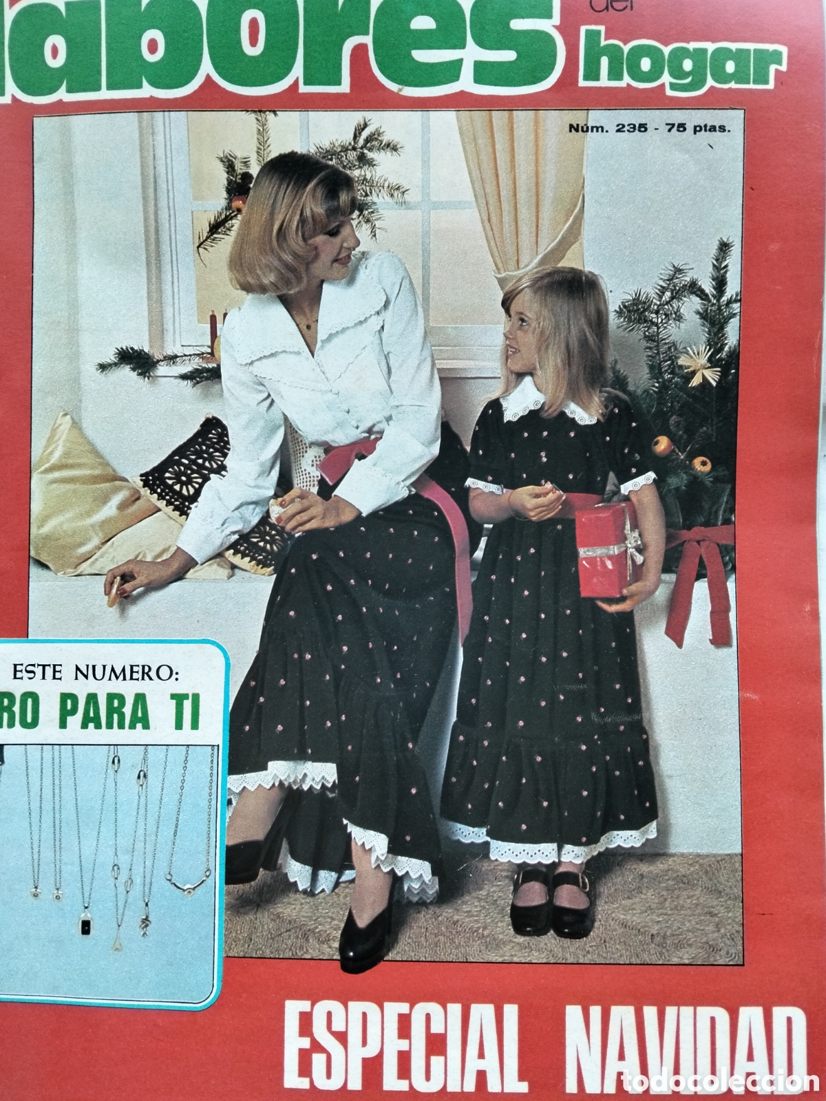 Collection Magazines and Newspapers: REVISTA LABORES DEL HOGAR N. 235 ESPECIAL NAVIDAD