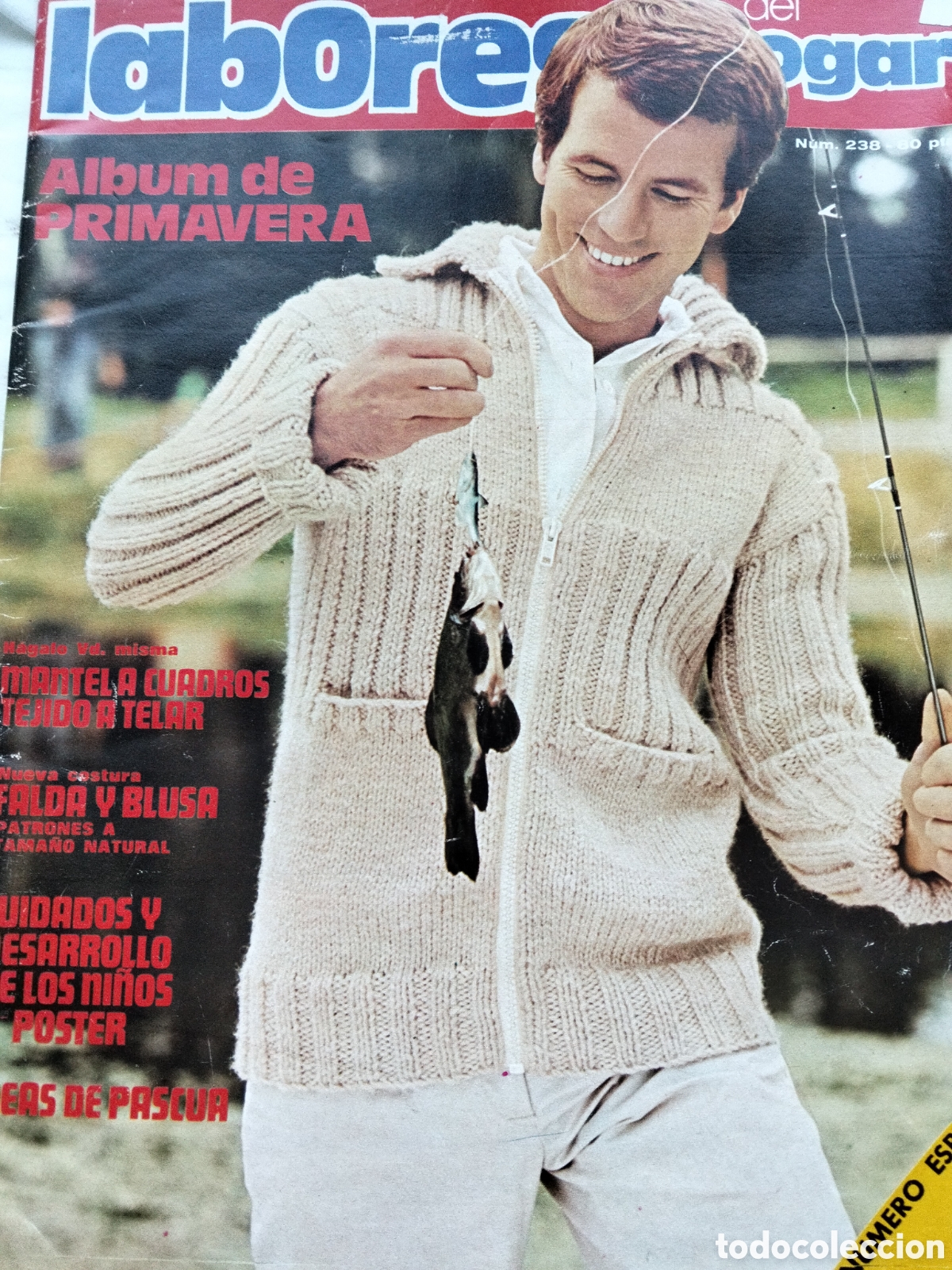 Coleccionismo de Revistas y Peri&oacute;dicos: REVISTA LABORES DEL HOGAR N. 238 MARZO 1978