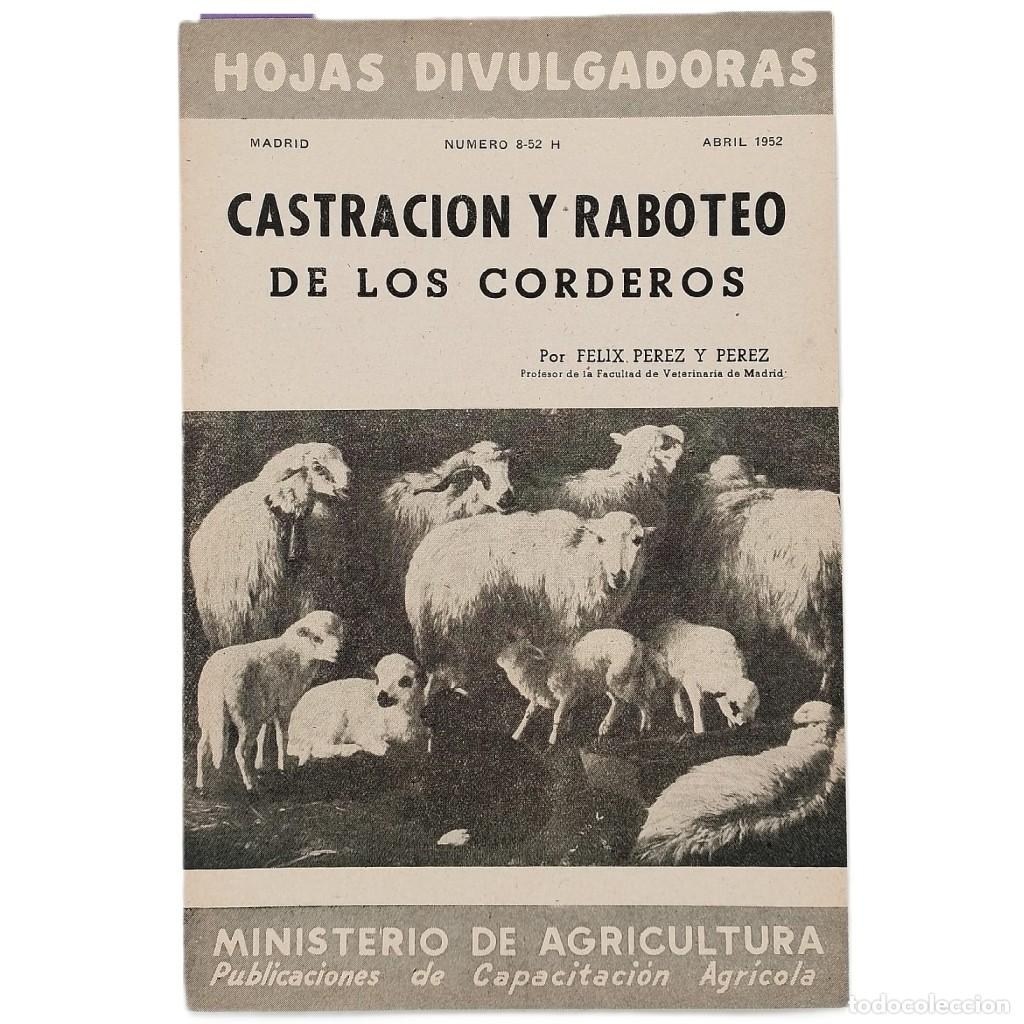 Colecionismo de Revistas e Jornais: CASTRACI&Oacute;N Y RABOTEO DE LOS CORDEROS. P&eacute;rez y P&eacute;rez, F&eacute;lix