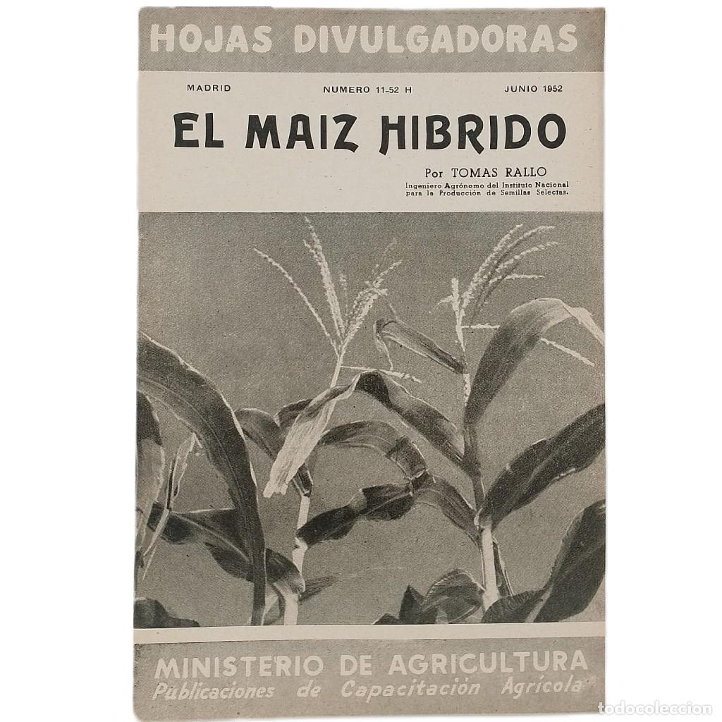 Coleccionismo de Revistas y Peri&oacute;dicos: EL MAIZ H&Iacute;BRIDO. Rallo, Tom&aacute;s