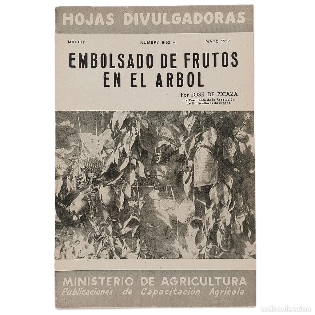 Collezionismo di Riviste e Giornali: EMBOLSADO DE FRUTOS EN EL &Aacute;RBOL. Picaza, Jos&eacute; de