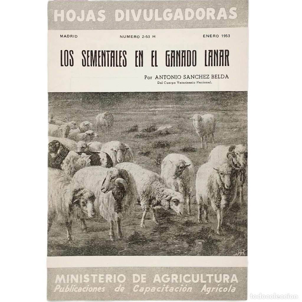 Collezionismo di Riviste e Giornali: LOS SEMENTALES EN EL GANADO LANAR. S&aacute;nchez Belda, Antonio