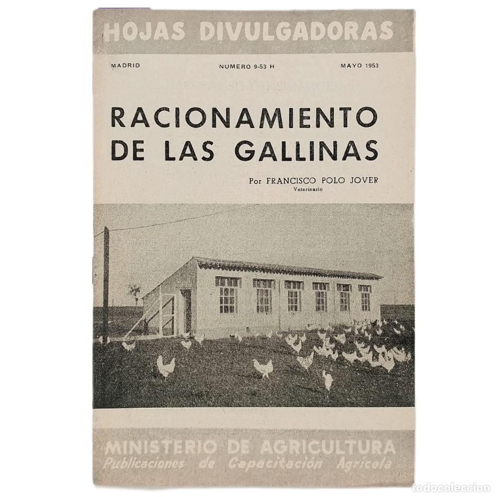 Colecionismo de Revistas e Jornais: RACIONAMIENTO DE LAS GALLINAS. Polo Jover, Francisco