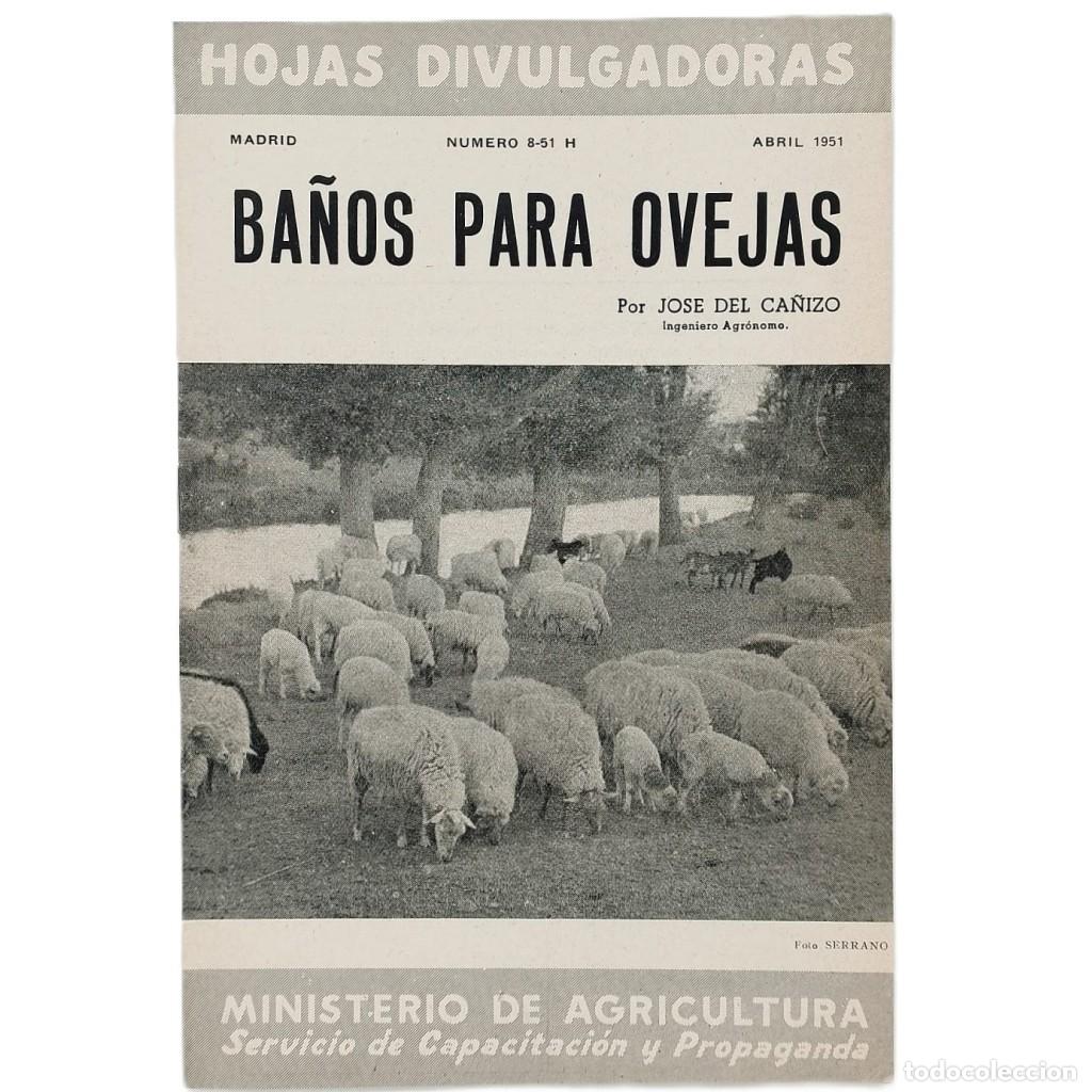 Collezionismo di Riviste e Giornali: BA&Ntilde;OS PARA OVEJAS. Ca&ntilde;izo, Jos&eacute; del