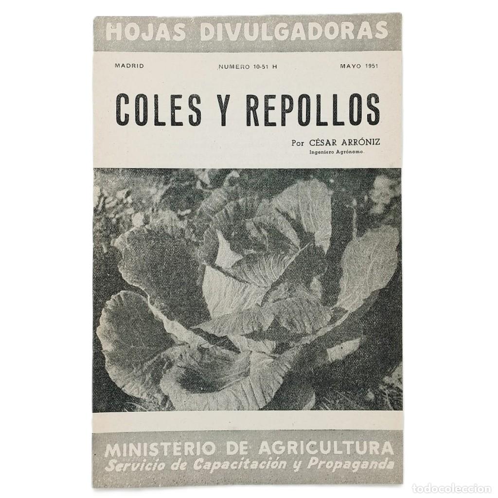 Coleccionismo de Revistas y Peri&oacute;dicos: COLES Y REPOLLOS. Arr&oacute;niz, C&eacute;sar