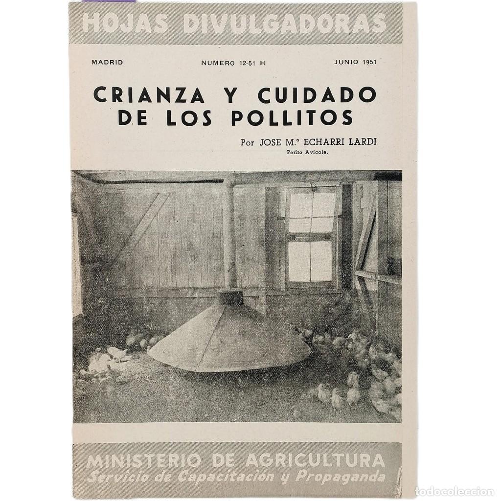 Sammeln von Zeitschriften und Zeitungen: CRIANZA Y CUIDADO DE LOS POLLITOS. Echarri Lardi, Jose M&ordf;