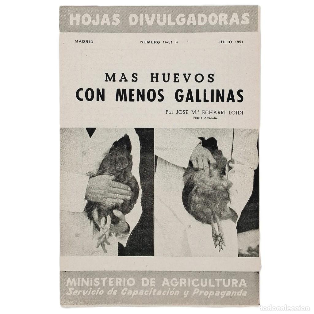Sammeln von Zeitschriften und Zeitungen: M&Aacute;S HUEVOS CON MENOS GALLINAS. Echarri Loidi, Jos&eacute; M&ordf;