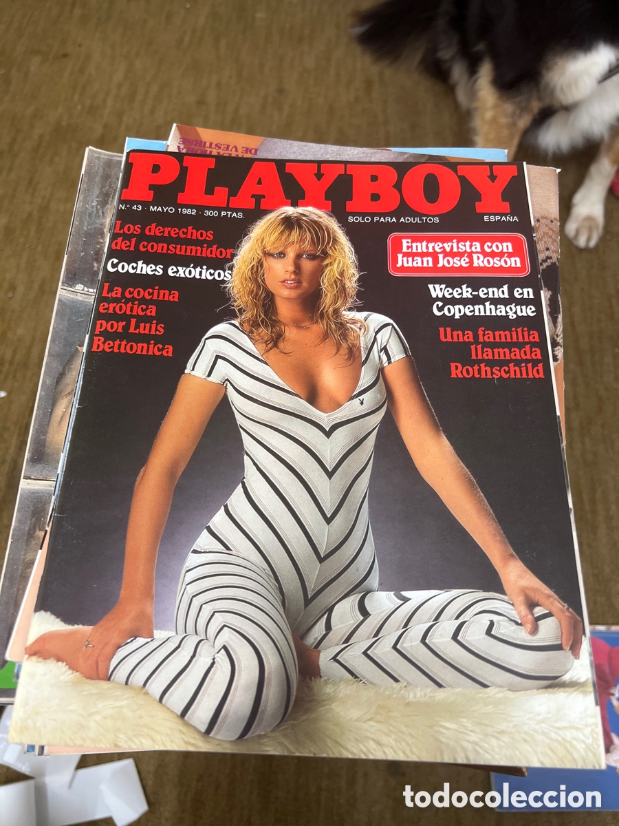 Sammeln von Zeitschriften und Zeitungen: Revista Playboy 43 Mayo 1982