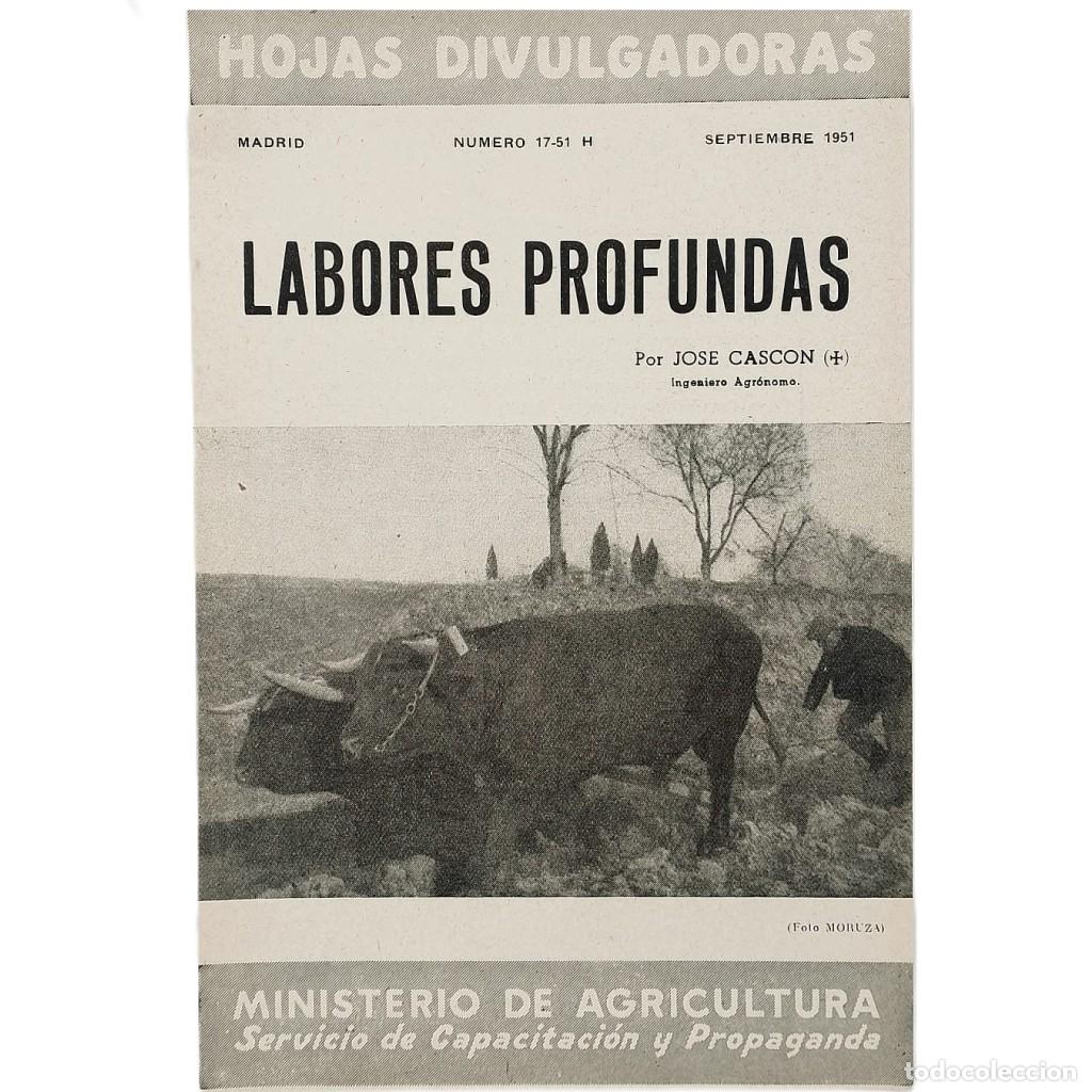 Coleccionismo de Revistas y Peri&oacute;dicos: LABORES PROFUNDAS. Casc&oacute;n, Jos&eacute;