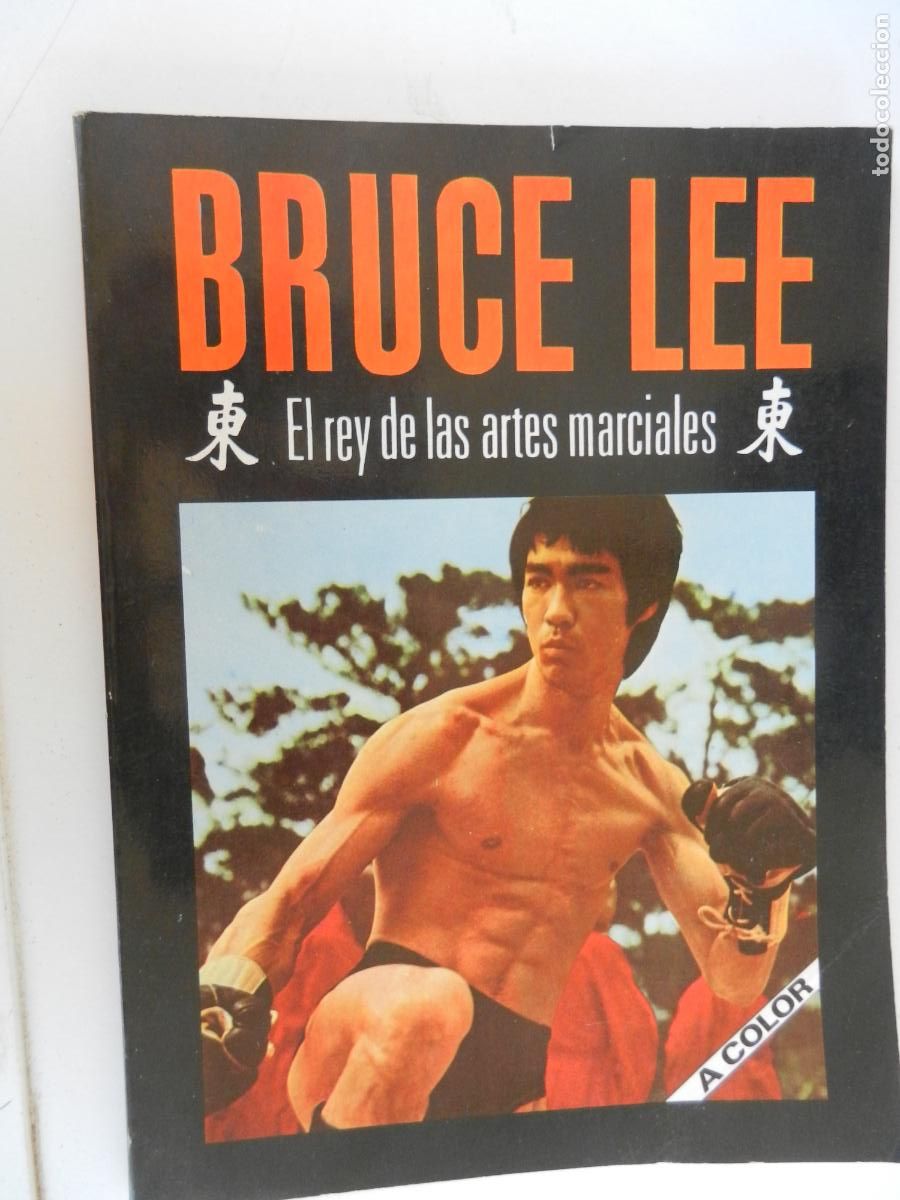 Coleccionismo de Revistas y Peri&oacute;dicos: BRUCE LEE , EL REY DE LAS ARTES MARCIALES - A COLOR - ABE S. KREUTZ -1987- EDITORIAL GAVIOTA -